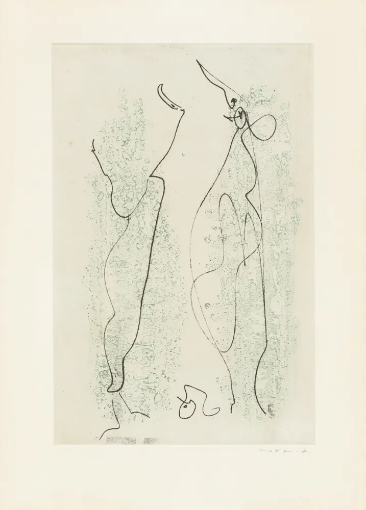Libro Ilustrado Ernst - 