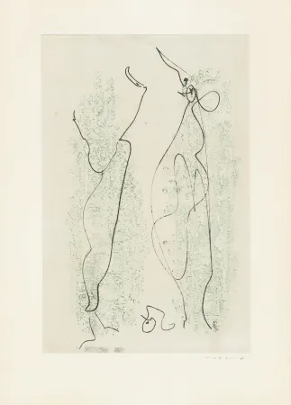 Libro Ilustrado Ernst - 