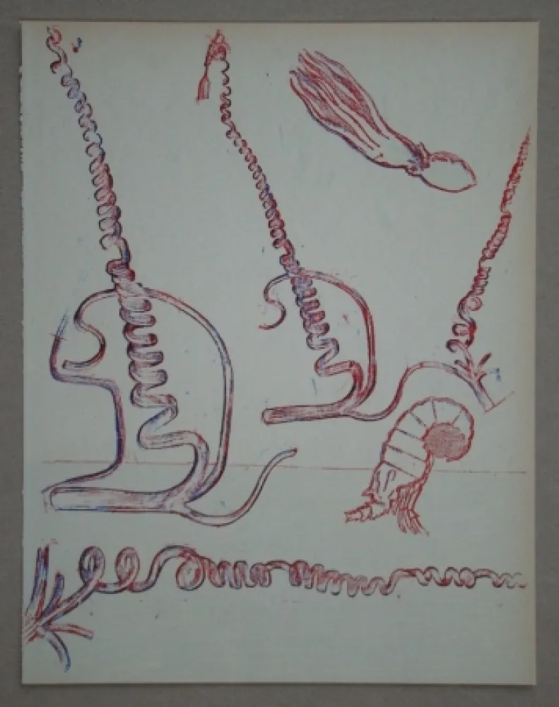 Litografía Ernst - Lithograph pour XXe Siècle