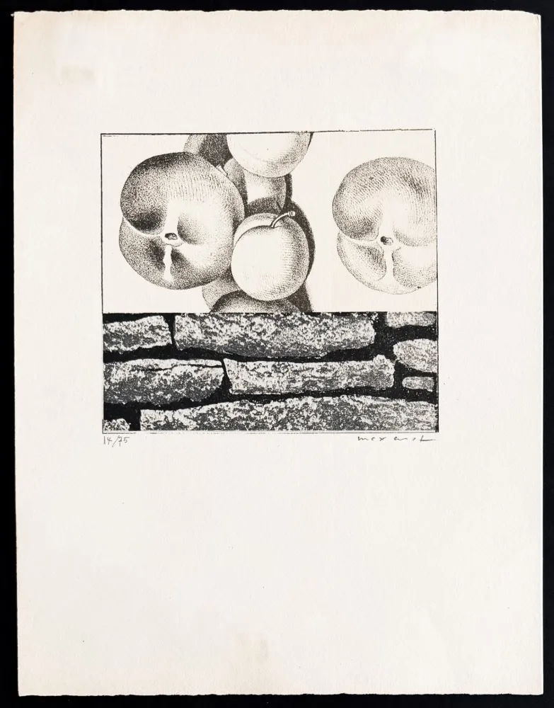 Litografía Ernst - Max Ernst (1891–1976) - Fruits défendus - Photolithography on paper - 1968
