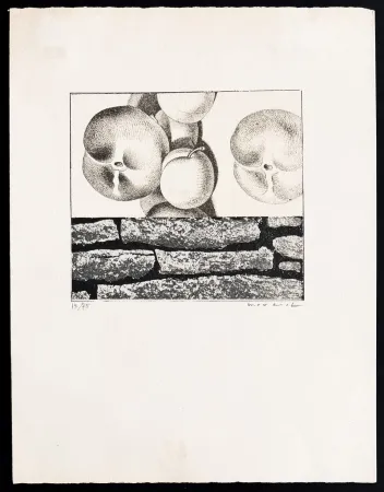 Litografía Ernst - Max Ernst (1891–1976) - Fruits défendus - Photolithography on paper - 1968