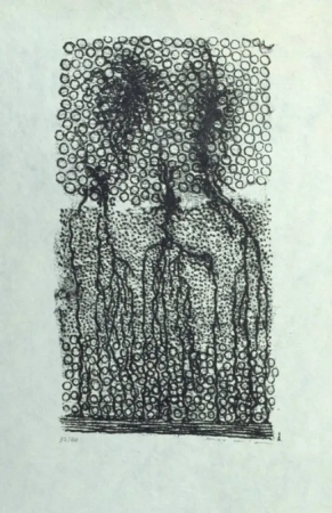 Litografía Ernst - Sans titre