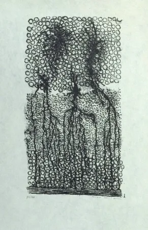 Litografía Ernst - Sans titre