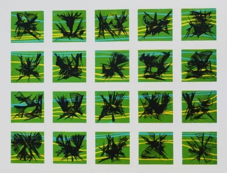 Litografía Ernst - Terra Incognita 10