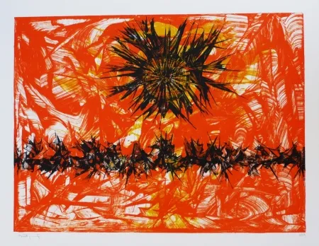 Litografía Ernst - Terra Incognita 12