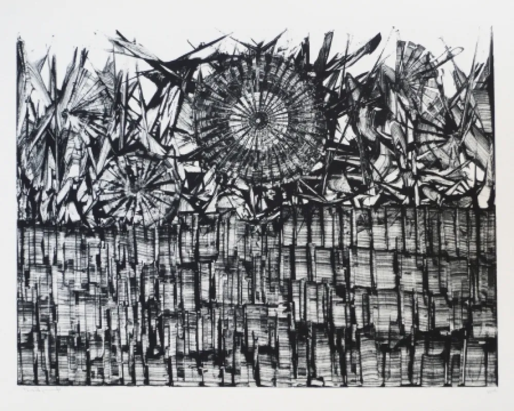 Litografía Ernst - Terra Incognita 4