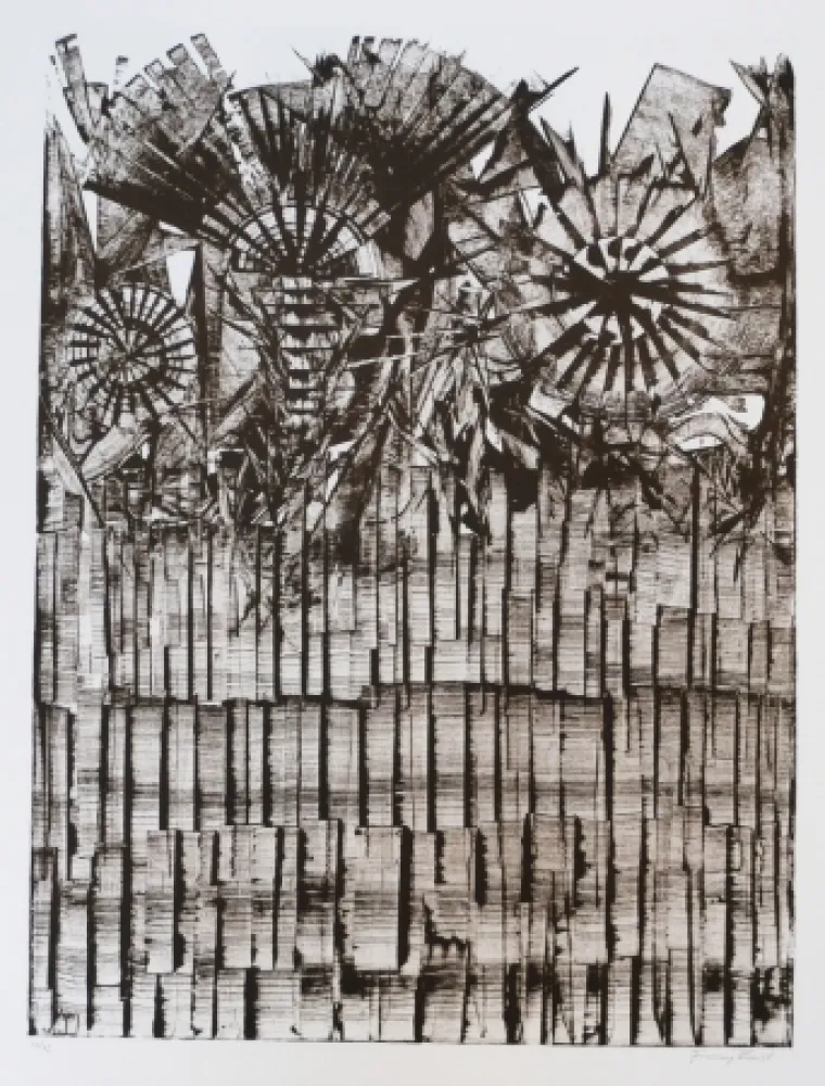 Litografía Ernst - Terra Incognita 9