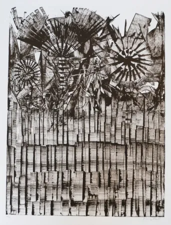 Litografía Ernst - Terra Incognita 9