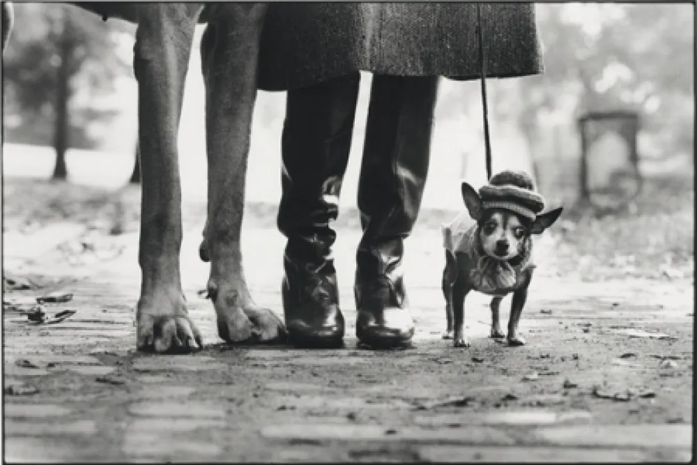 Fotografía Erwitt - New York City