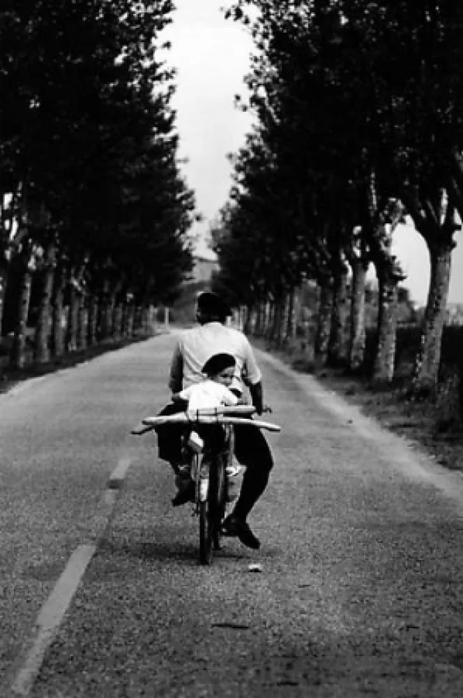 Fotografía Erwitt - Provence