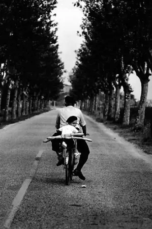 Fotografía Erwitt - Provence