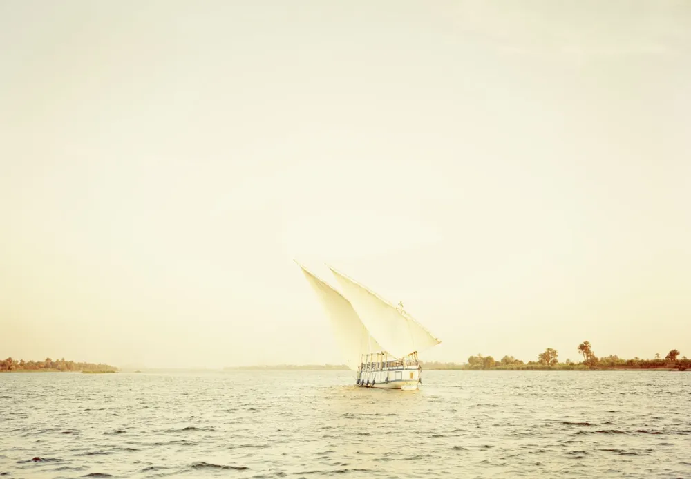 Estampa Numérica Esser - Nil II