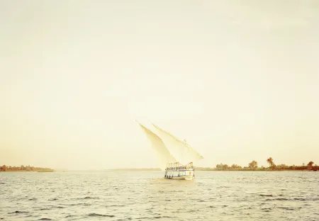 Estampa Numérica Esser - Nil II