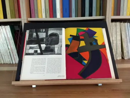 Libro Ilustrado Esteve - Hommage