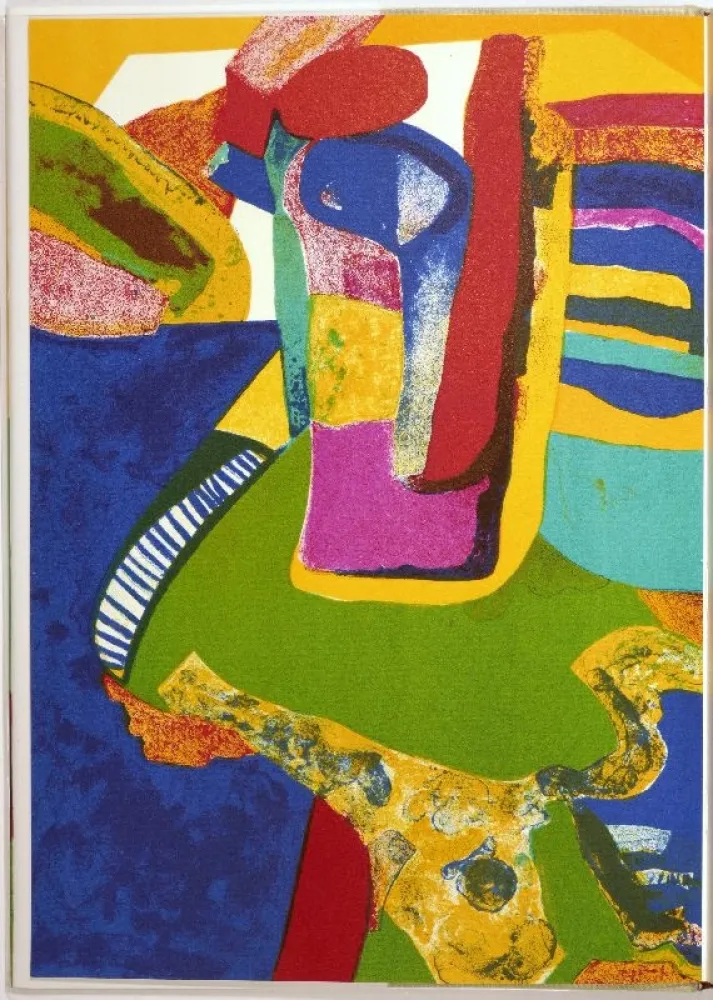 Libro Ilustrado Esteve - Maurice Estève. L’oeuvre gravé