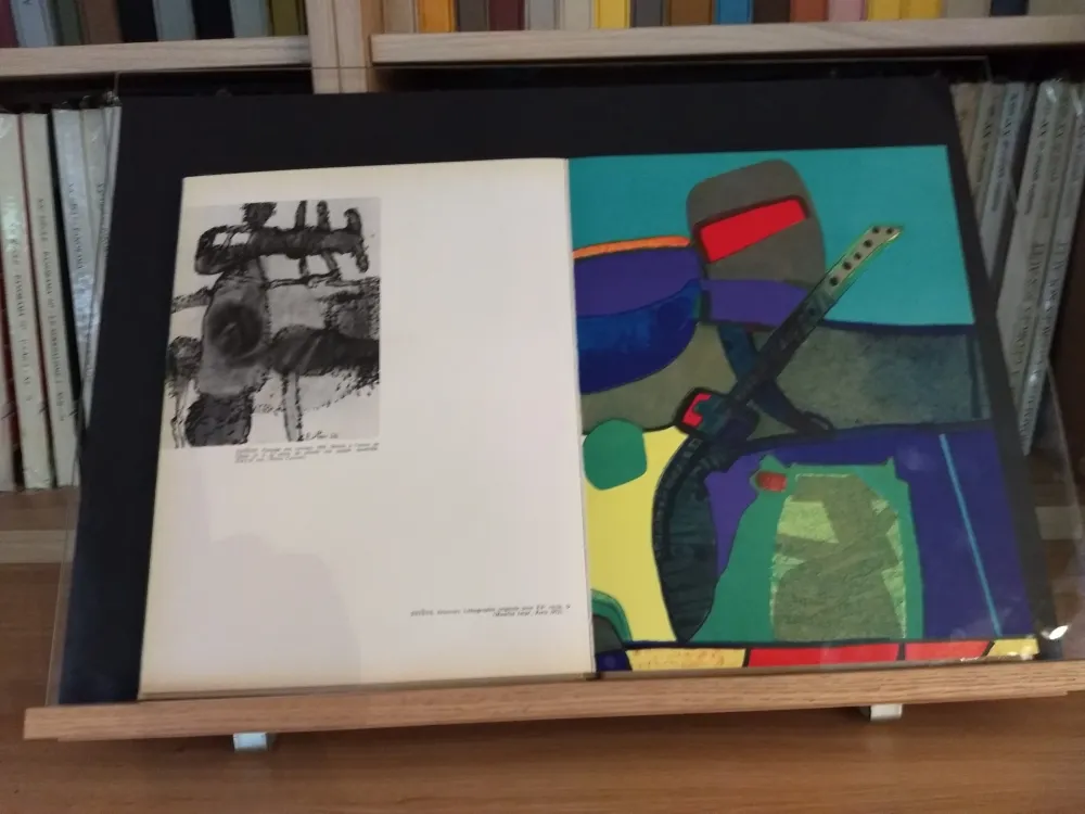 Libro Ilustrado Esteve - No 39