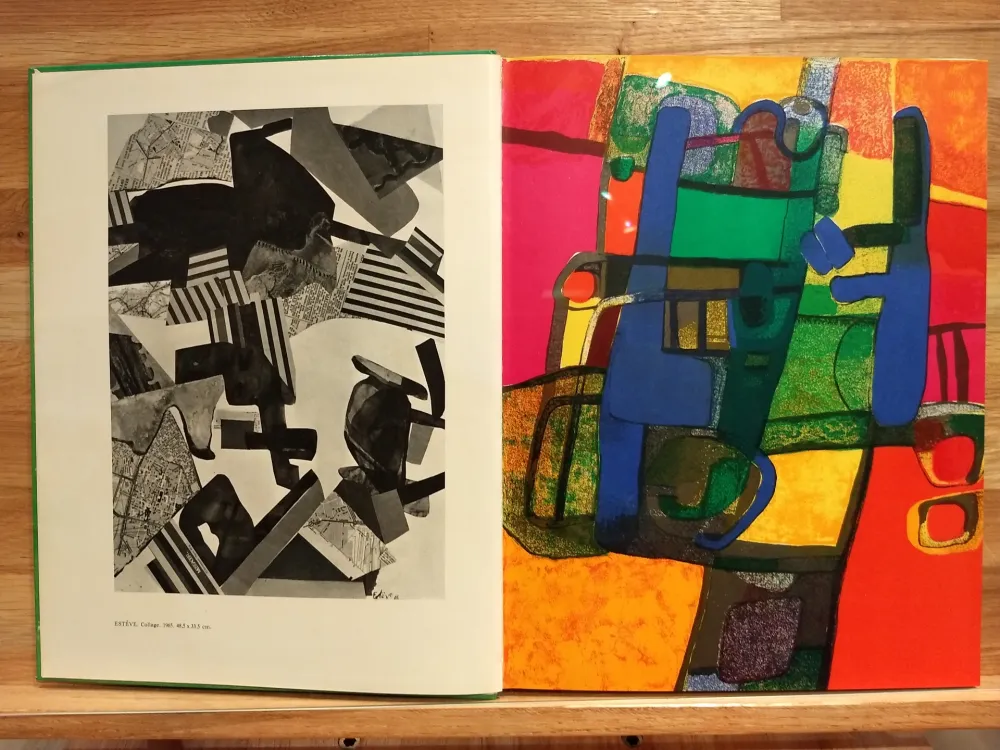 Libro Ilustrado Esteve - Xxe no33