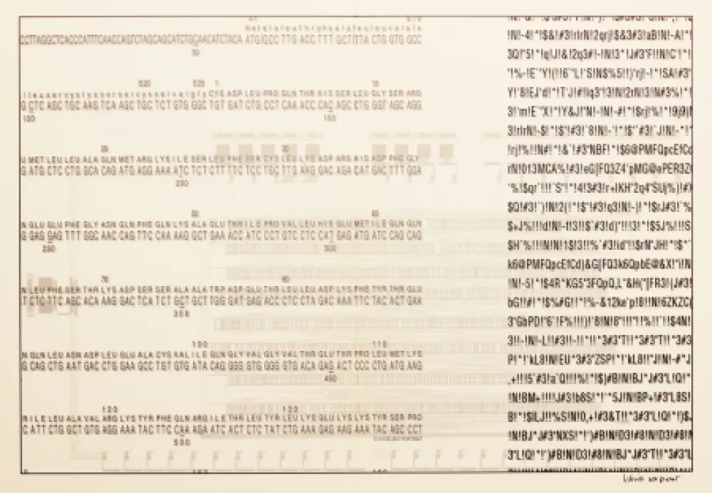 Serigrafía Export - Selbstporträt (Self Portrait)