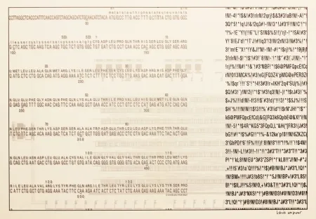 Serigrafía Export - Selbstporträt (Self Portrait)