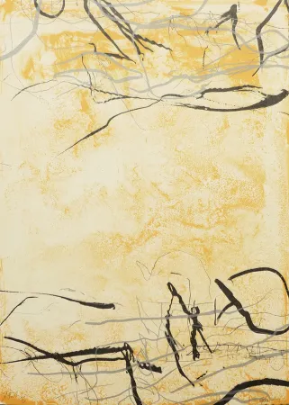 Litografía Fabré - Entre Voces