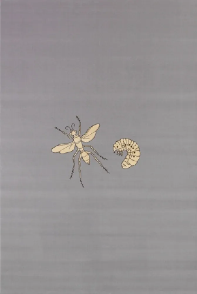 Múltiple Fabre - Fly