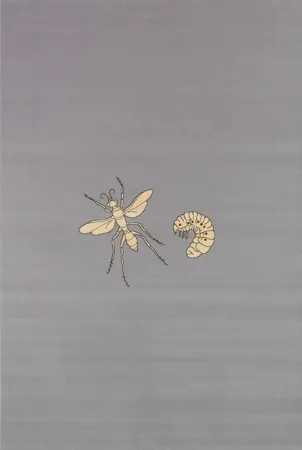 Múltiple Fabre - Fly