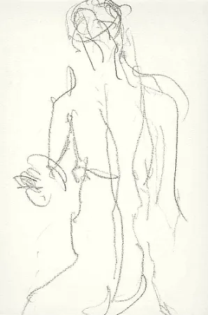 Libro Ilustrado Fabro - Art body