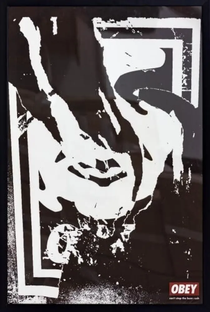 Litografía Fairey - Ripped