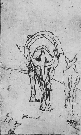 Aguafuerte Fattori - Due somarelli