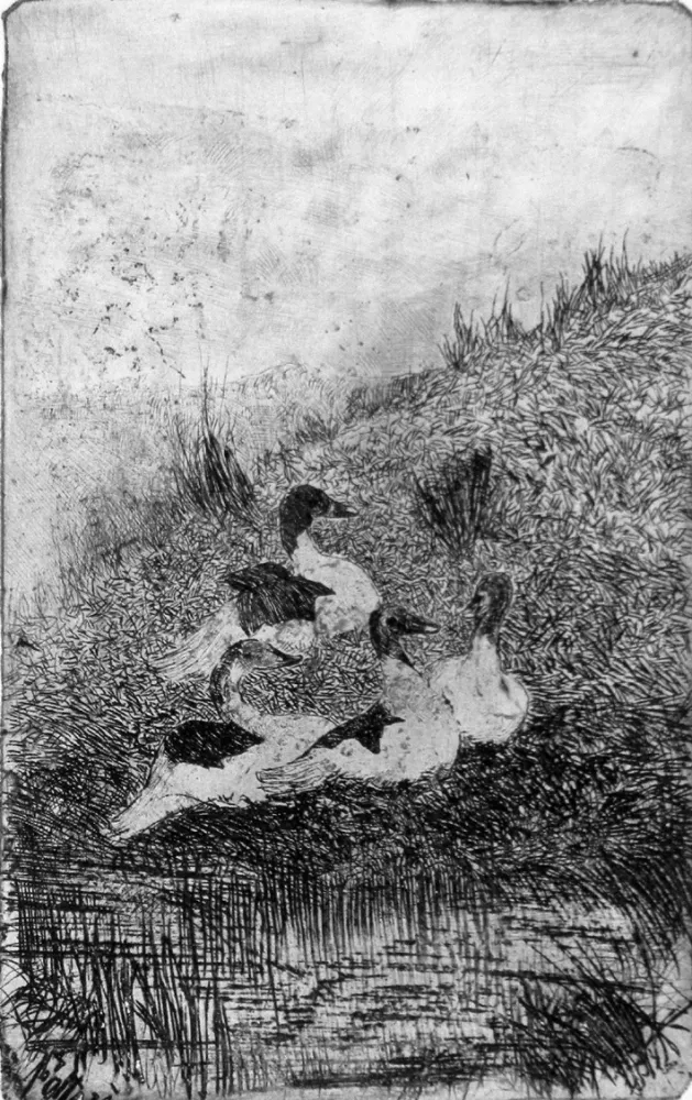 Aguafuerte Fattori - Le anatre