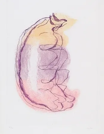 Grabado Fautrier - Grands torses de femmes