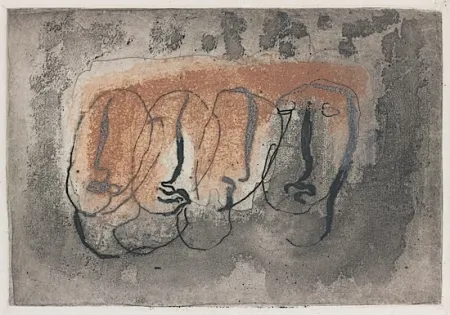 Libro Ilustrado Fautrier - Orenoque