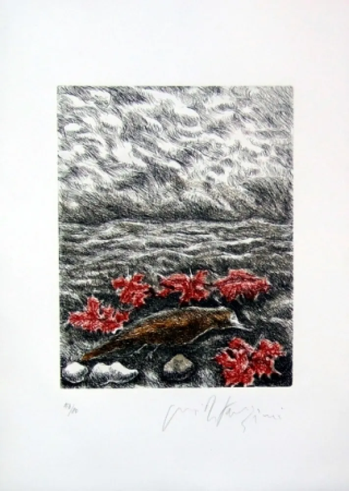 Libro Ilustrado Fazzini - Gabbiani