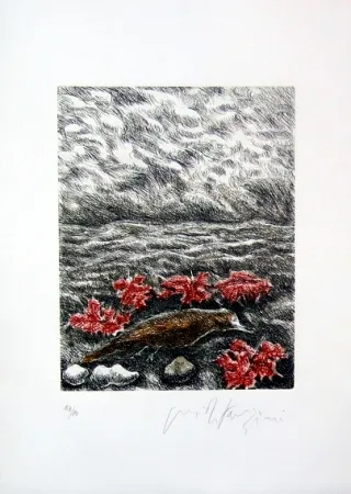 Libro Ilustrado Fazzini - Gabbiani