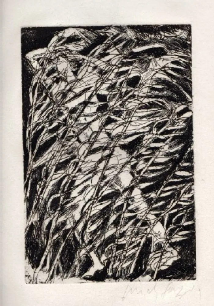 Libro Ilustrado Fazzini - Inni