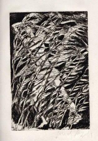 Libro Ilustrado Fazzini - Inni