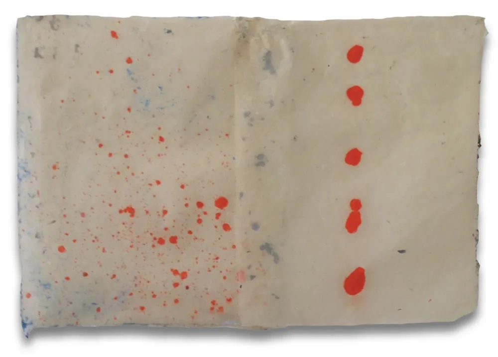 Sin Técnico Feinberg - DD3.15