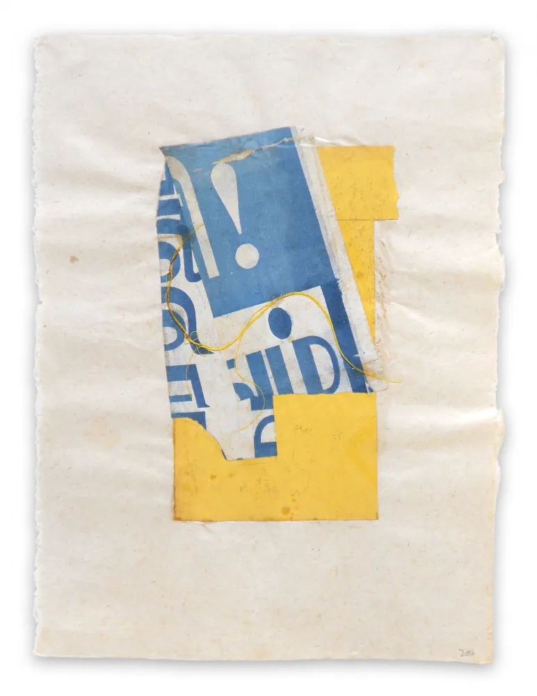 Sin Técnico Feinberg - India !