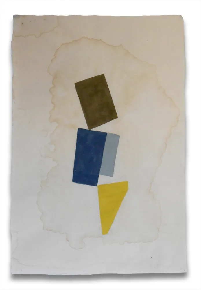 Sin Técnico Feinberg - P1.14