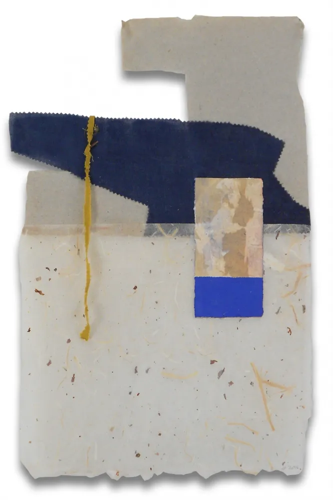 Sin Técnico Feinberg - P5.15