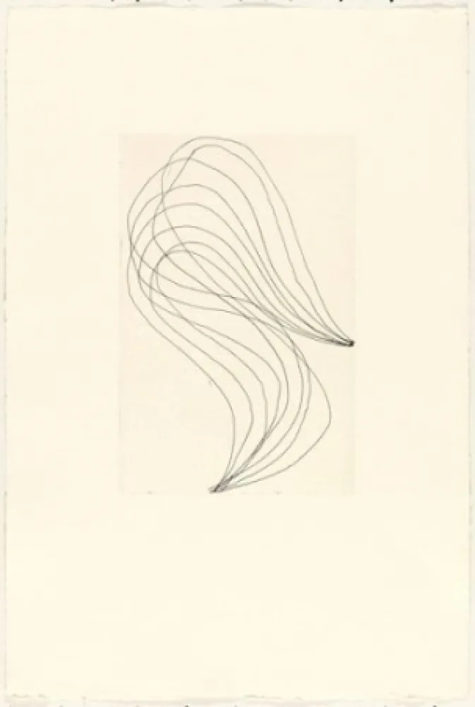 Grabado Ferrari - Mod. 1