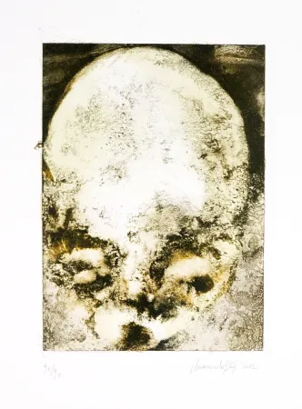 Litografía Ferré - De précipices en belvédères 2