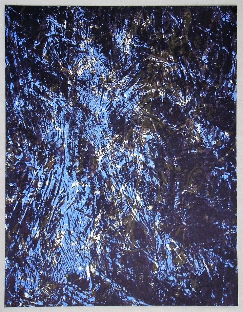 Litografía Fiedler - Lithograph pour XXe Siècle