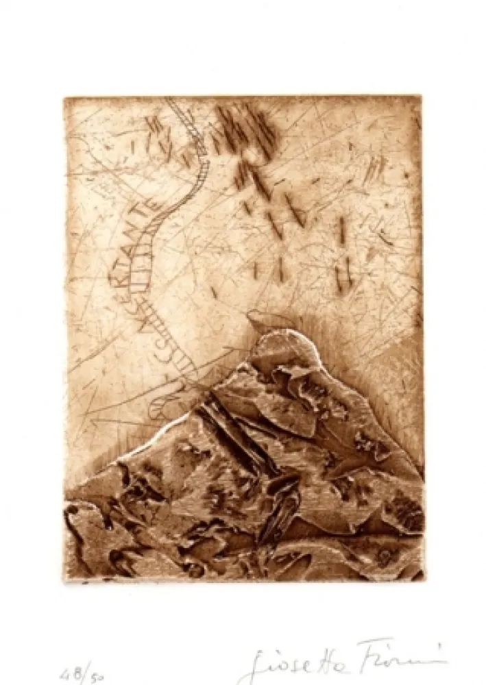 Libro Ilustrado Fioroni - Il titolo