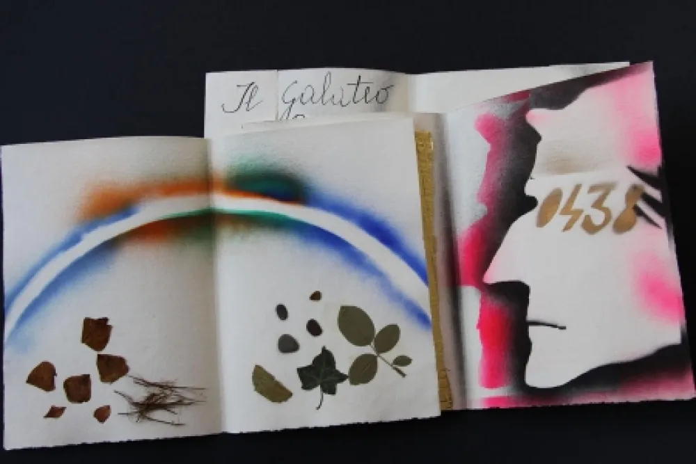 Libro Ilustrado Fioroni - Sonetto di veti e iridi