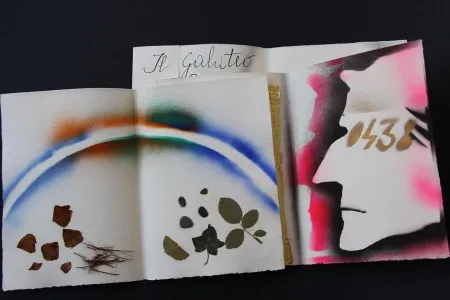 Libro Ilustrado Fioroni - Sonetto di veti e iridi