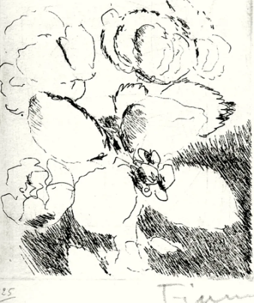 Libro Ilustrado Fiume - Dietro le carte