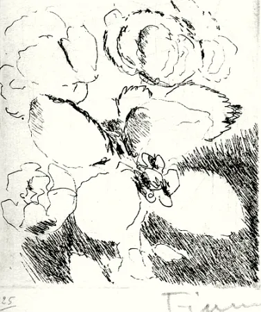 Libro Ilustrado Fiume - Dietro le carte