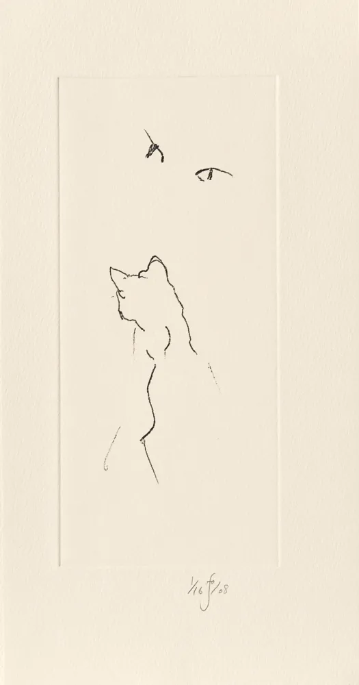 Grabado Flanagan - Panda