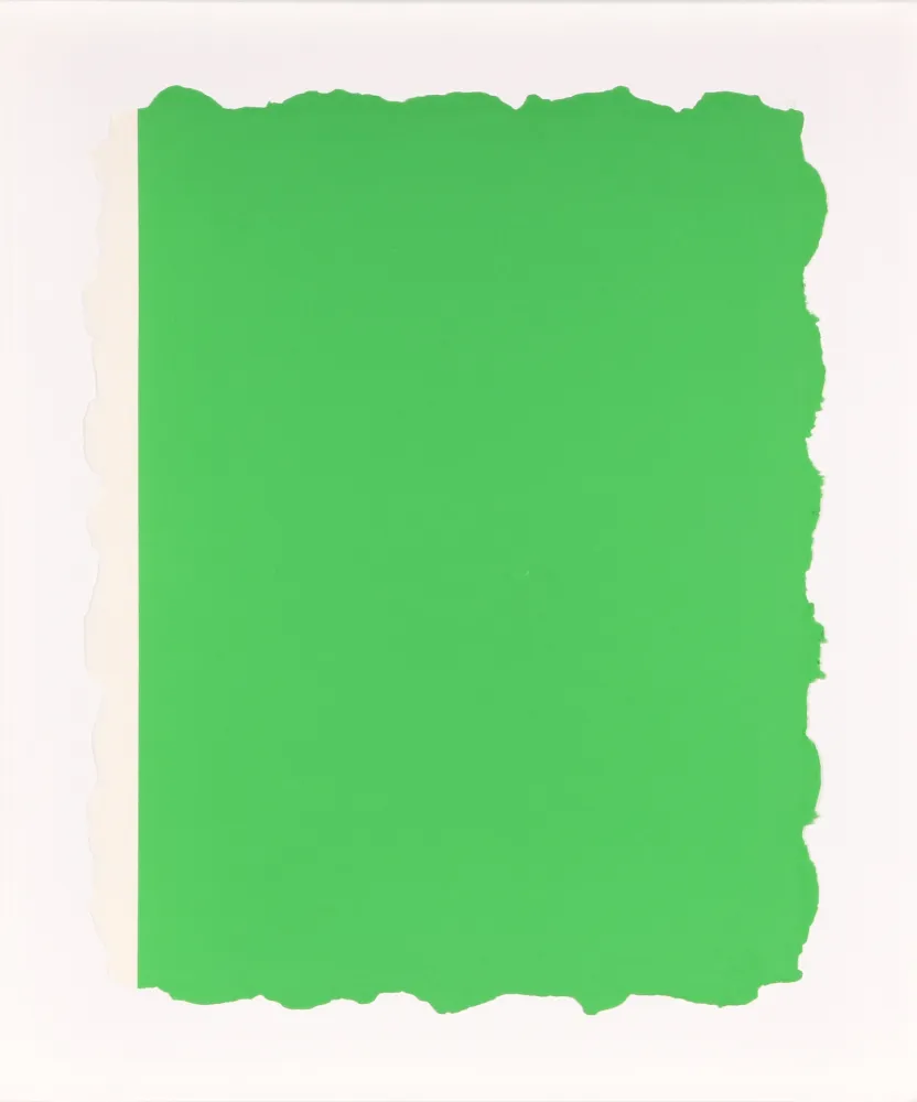 Aguatinta Flavin - Untitled, from Sequences - Green